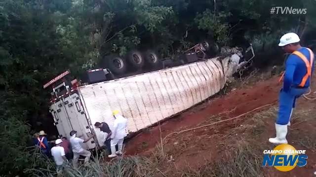 Caminhão de frigorífico sai da pista e capota próximo ao ribeirão Jatobá