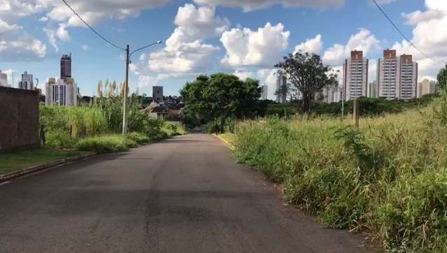 Em bairro de alto padrão, mato alto e até carcaças de veículos assustam