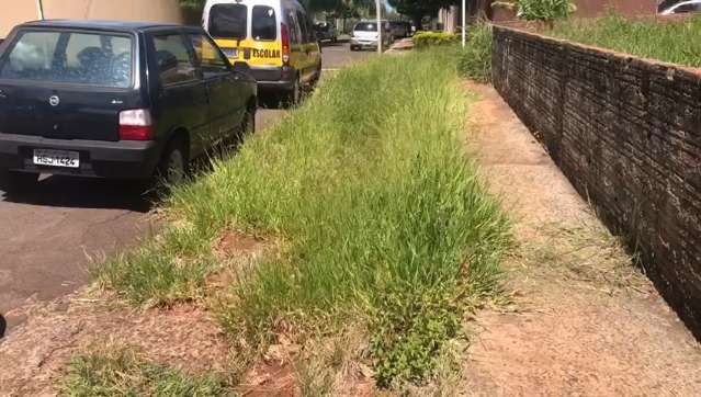 Em frente as escolas, mato ocupa lugar das calçadas e atrapalha alunos