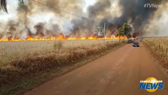 Incêndio que feriu produtor pode ter destruído 100 hectares em Maracaju