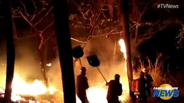 Brigada Pantanal trabalha no combate às chamas na região de Corumbá