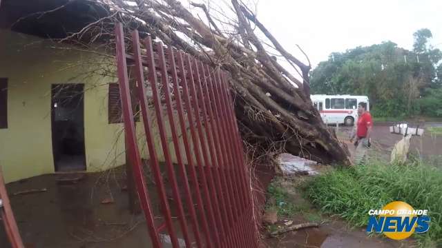 Moradora já tinha acionado prefeitura por árvore que caiu