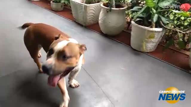 Veja vídeo do trio brincando com funcionários da escola