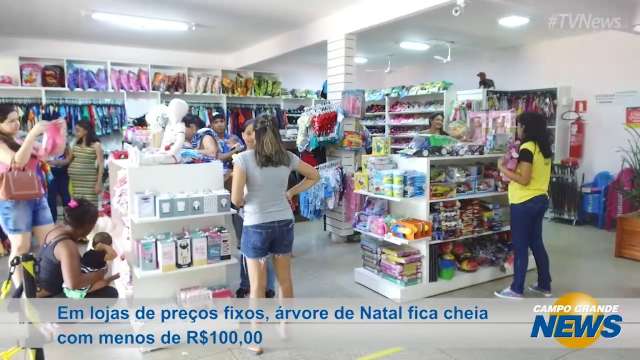 Em lojas de preços fixos, árvore de Natal fica cheia com menos de R$100,00