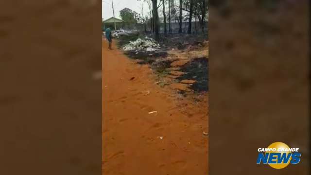 PMA resgata gambá de incêndio em terreno baldio na Capital