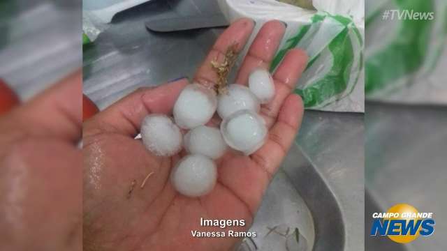 Leitores registram chuva acompanhada de granizo e de ventos de 61 km por hora