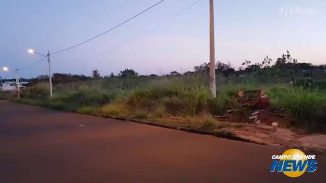 Terreno no bairro Jardim das Virtudes é depósito de lixo há pelo menos três anos