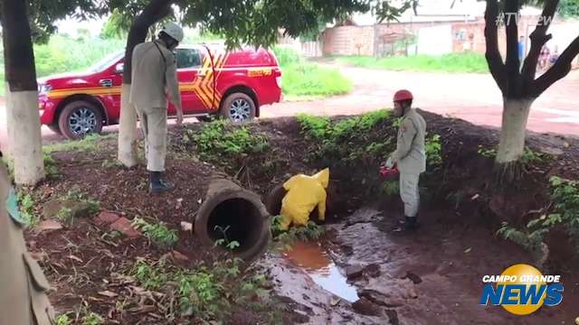 Com rouba especial, bombeiro procura desaparecido