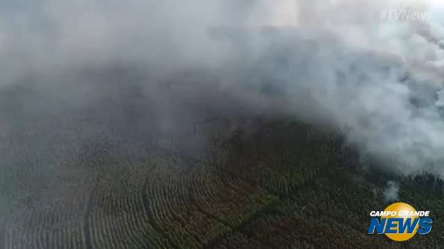 Imagens de drone mostram fumaça densa na área