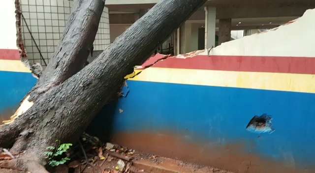 Sem dar trégua, chuva derruba árvore sobre escola do Sesc