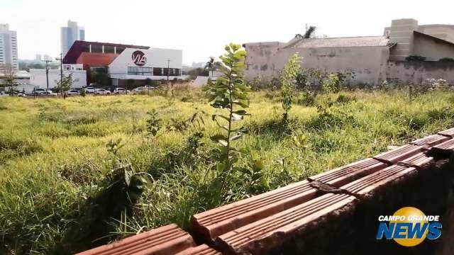 Em área nobre de Campo Grande, terreno baldio é caso de polícia