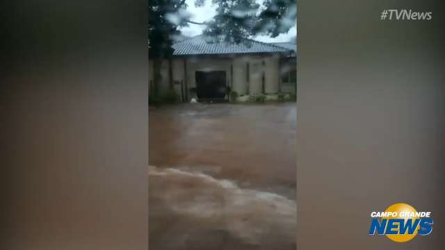 Chuva de 5h derruba árvores e alaga ruas em Ponta Porã