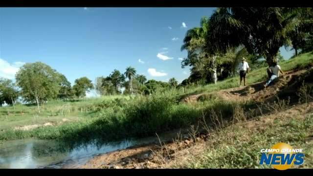 Fazendeiro desmata e seca uma das nascentes do Pantanal