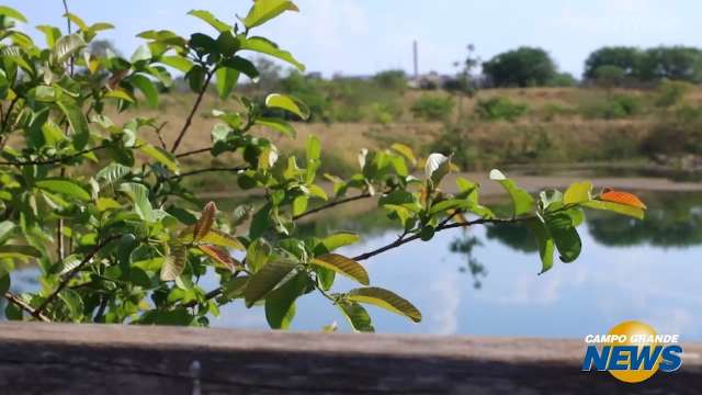 No Dia da Árvore, crianças têm lição de meio ambiente em parque municipal