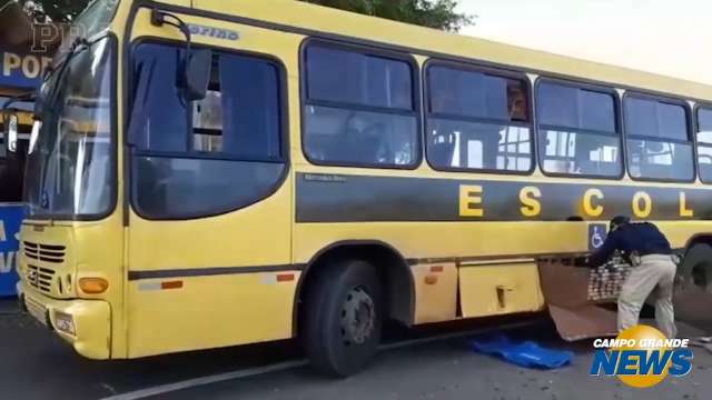 Ônibus escolar saiu de MS carregado com quase 1 t de maconha