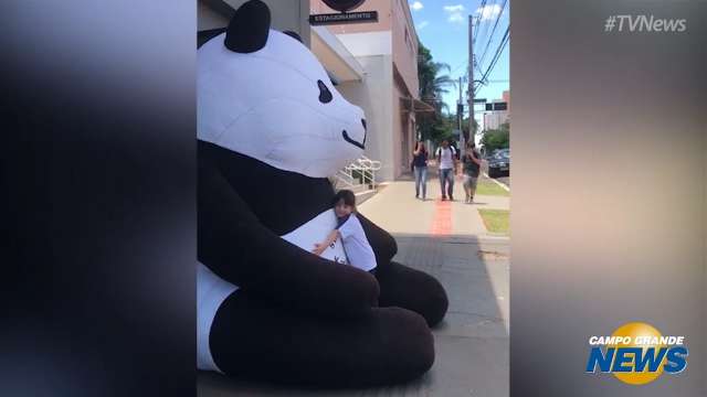 Panda gigante vira point de abraço para pedestres em Campo Grande