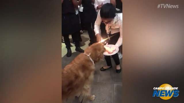 Com bolo e parabéns, cadela comemora aniversário no Outback