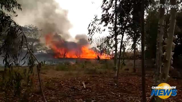 Moradores registram fogo se espalhando em madeireira