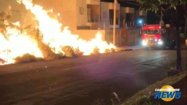 Incêndio em terreno mobiliza bombeiros no Vilas Boas