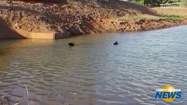 Lago do Parque das Nações é enchido, após 4 meses