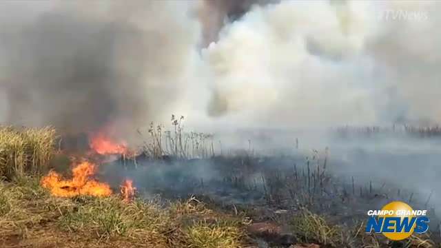 Incêndio atinge lavouras de cana e coloca motoristas em risco