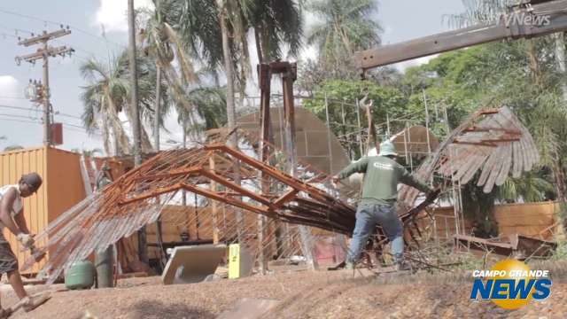 Derrubados há 4 anos, tuiuius em frente ao aeroporto começam a ser restaurados