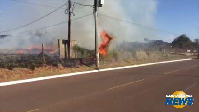 Fogo em terreno ameaça imóveis e rede de alta tensão