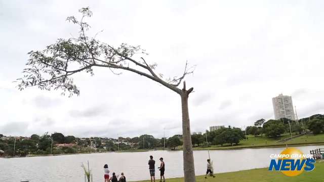 Em um só dia, previsão para MS é de tempo com sol, vento, nuvem e muita chuva