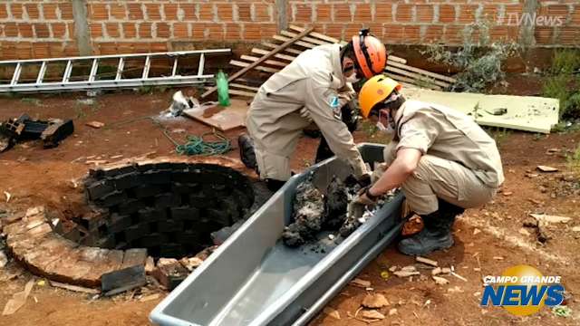 Polícia encontra ossos humanos em poço desativado