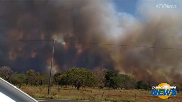 Motorista grava incêndio de grandes proporções às margens da rodovia BR-262