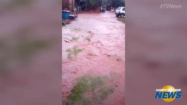 Chuva causa prejuízo de R$1500 em lotes de produtores de orgânicos