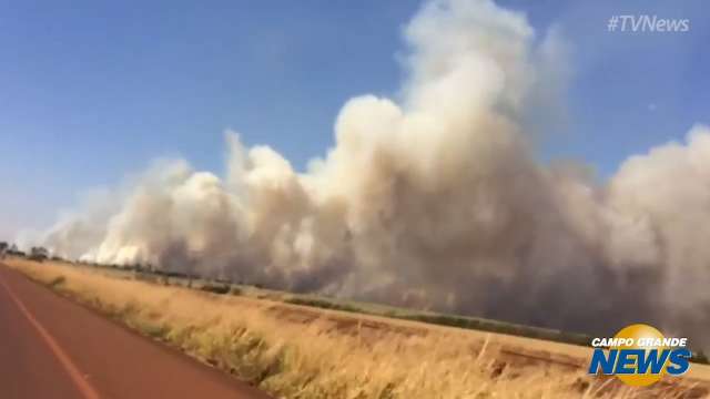 Incêndio atinge pastagem e se alastra em propriedades na BR-463