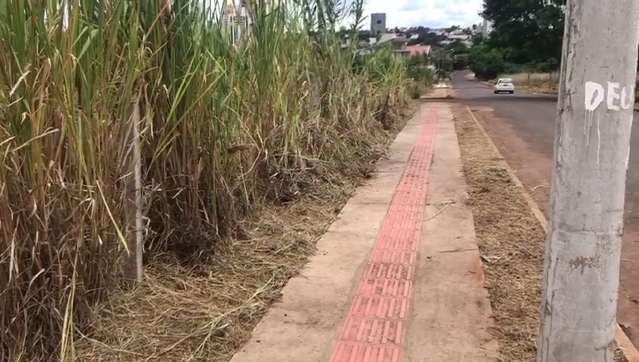 Após denúncia, mato começa a ser retirado, mas ainda sobra lixo em bairro chique