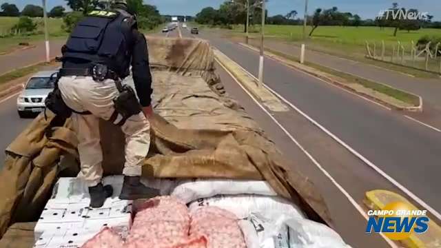 Agrotóxico escondido em carga de alho iria para o Mato Grosso