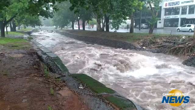 Córrego Prosa quase transborda com volume de chuva