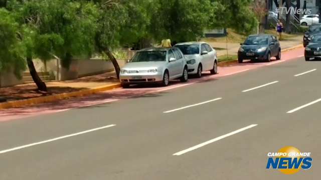 Carros estacionados sobre ciclofaixa em trecho da Avenida Via Parque