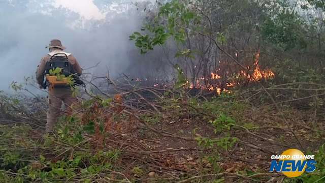 Bombeiros combatendo incêndio na região do Porto do Manga