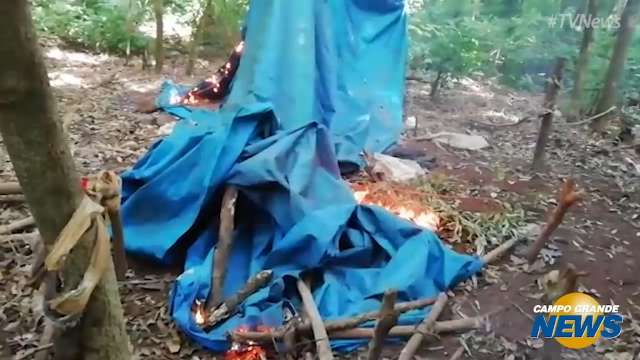 Polícia destrói acampamento de traficantes em plantação de maconha