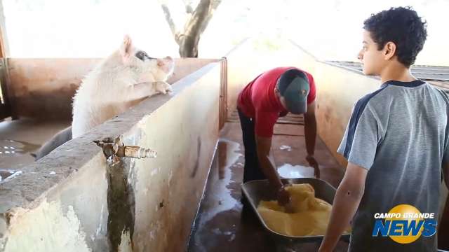 Em escola, jovens aprendem por meio do trabalho no campo