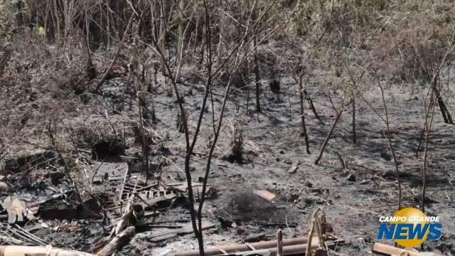 Queimada é crime, mas punição depende de flagrante