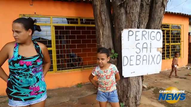 “Sai de baixo”, avisa cartaz em árvore prestes a cair