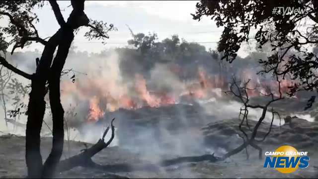 Fumaça de queimada em vegetação cobre Avenida Gury Marques