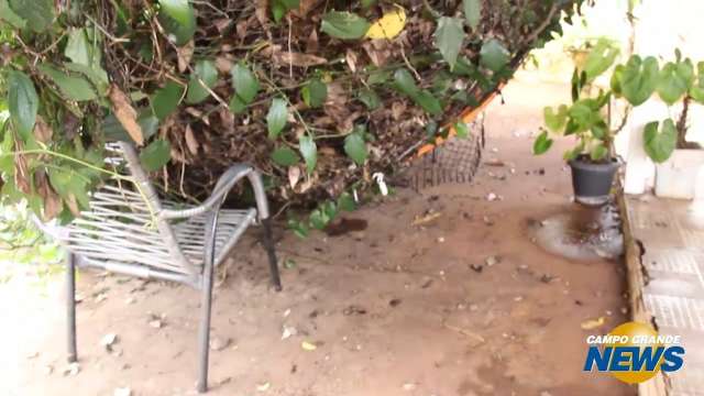 Local que foi cena de tragédia era cantinho preferido da casa para cozinheira