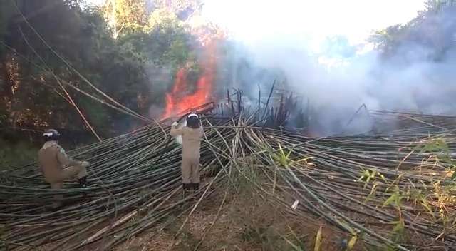 Incêndio no Parque das Nações pode ter sido criminoso