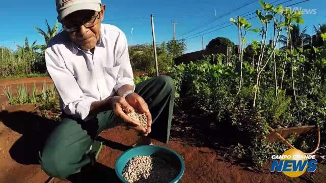 Horta cultivada por idoso no Aero Rancho é exemplo de cuidado ambiental