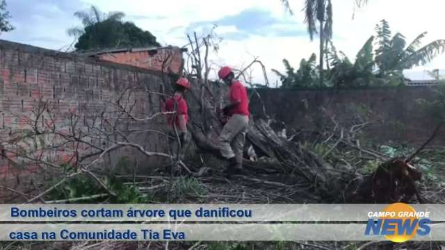 Bombeiros cortam árvore que danificou casa na Comunidade Tia Eva