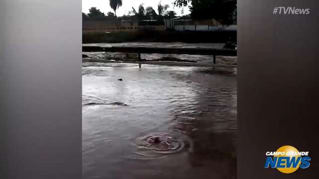 Rio Anhanduí transborda e peixes vão parar na Avenida Ernesto Geisel