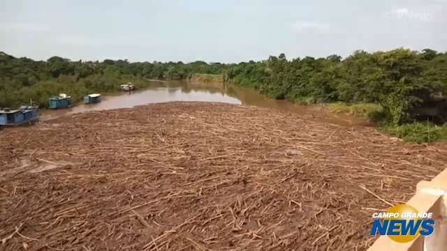 Chuvarada leva sujeira para Rio Miranda