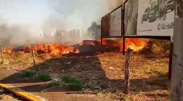 Dá para ver fumaça de longe: incêndio devasta área vizinha a hospitais