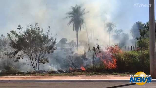 Fogo consome mato em área na Avenida Ernesto Geisel